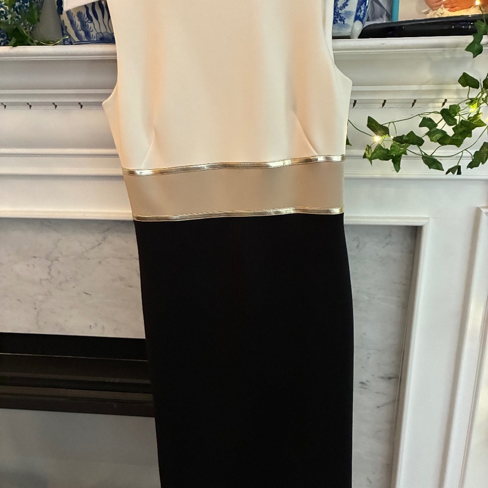 Calvin Klein Collection Black and Cream with beautiful gold strip Dress
